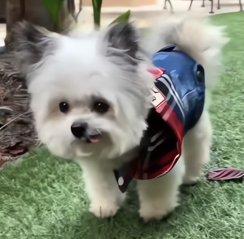 Las cosas más guays en internet (I)