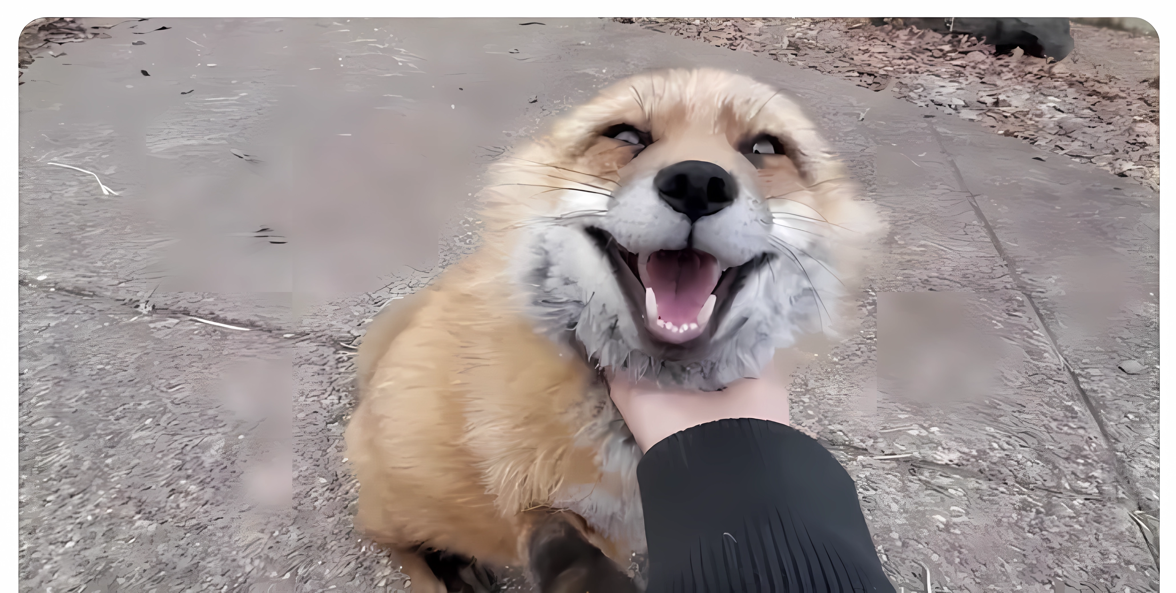 Las cosas más guays de internet (II)