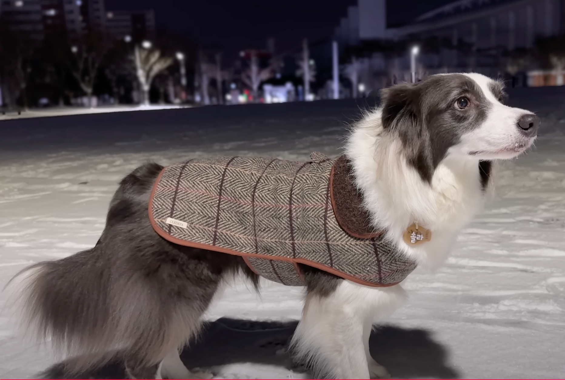 From Sola lo más bonito que vas a ver hoy.